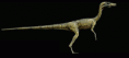Procompsognathus triasicus